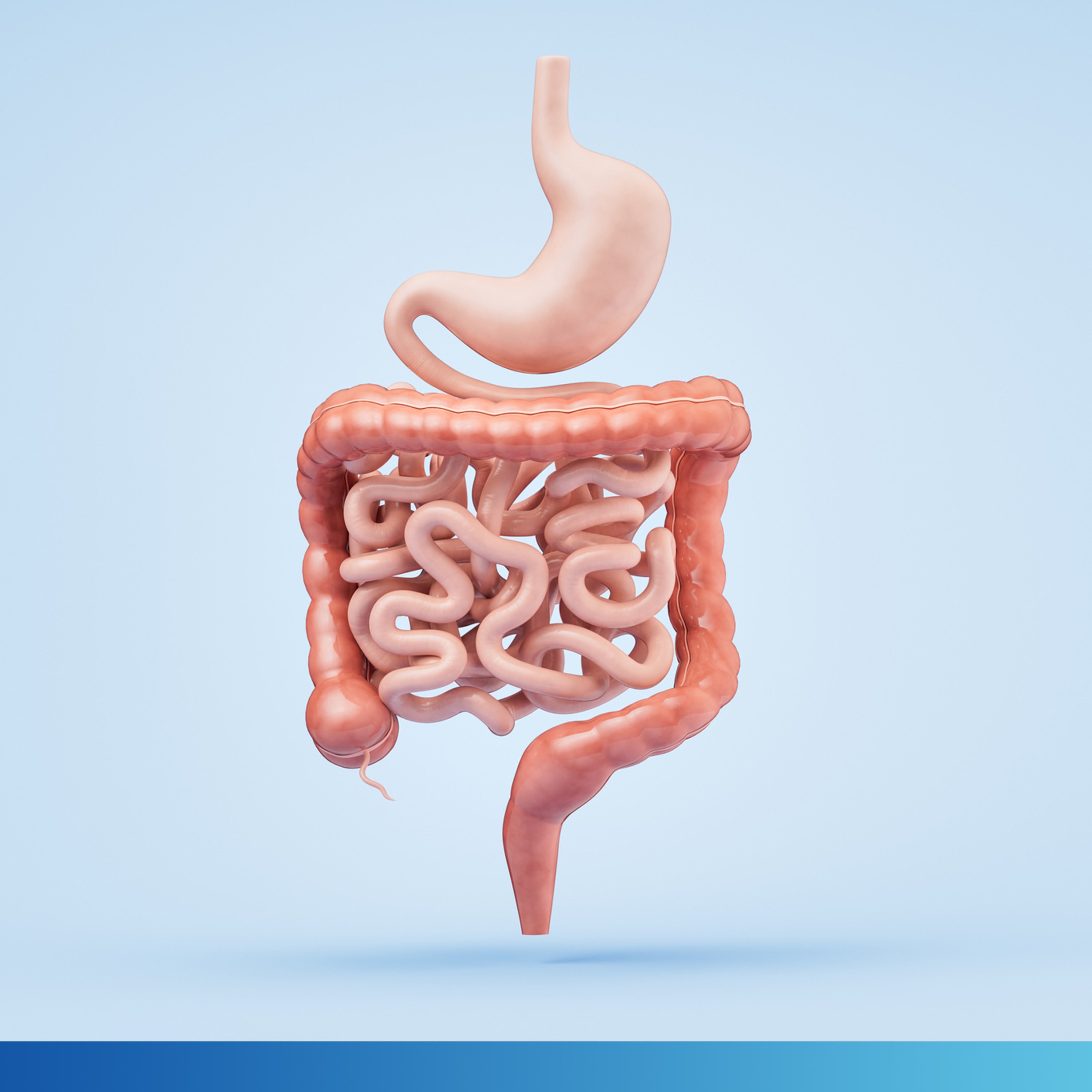 Restoring Gut Health: Building a Strong Intestinal Barrier (Part 2)